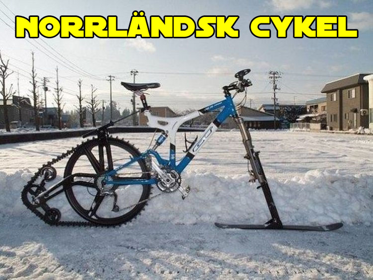 22 roliga bilder som visar att Norrland är lite annorlunda 11