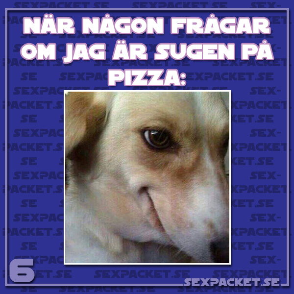 13. Sugen på pizza