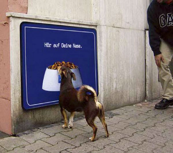 12. En hungrig hund