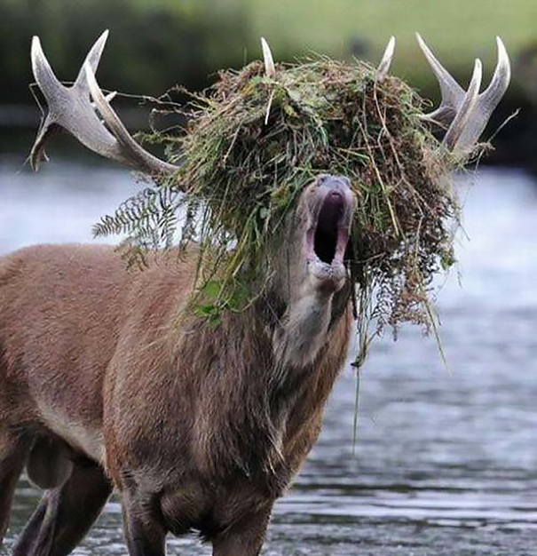 16. Å nej, jag är helt blind