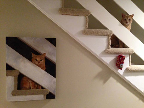 7. Två katter i en fantastisk bild