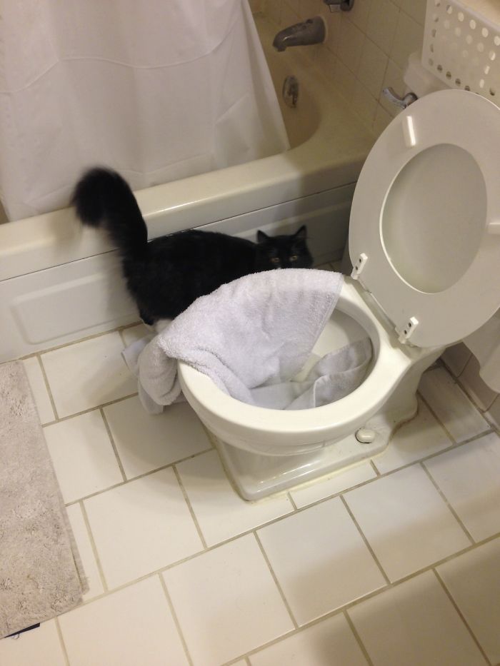 10. God morgon - jag ville bara torka upp vattnet