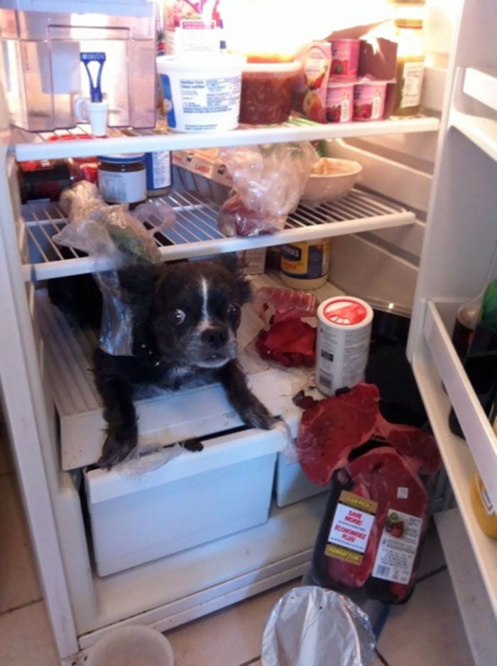 11. Vadå - jag var ju bara hungrig