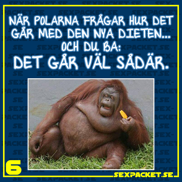 12. Den nya dieten går väl sådär