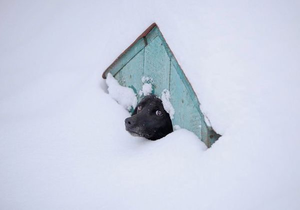 2. Ojdå, det har visst snöat lite