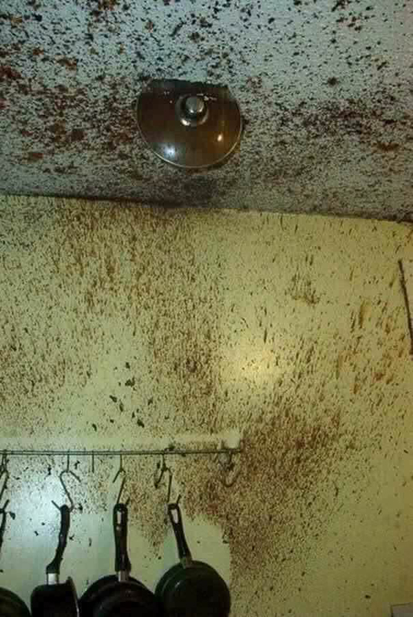 12. Vem ska städa upp allt detta?