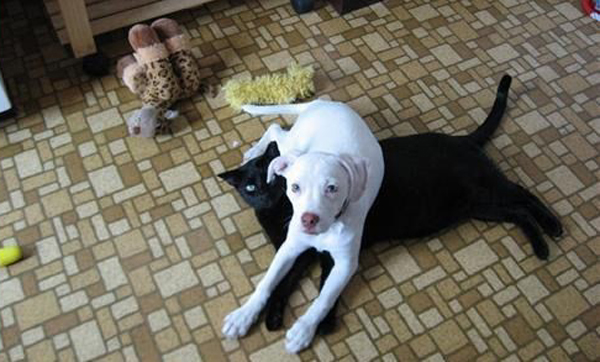 10. Min nya svarta matta