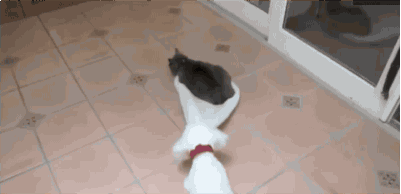 6. Vakna, vakna - du ligger i min säng