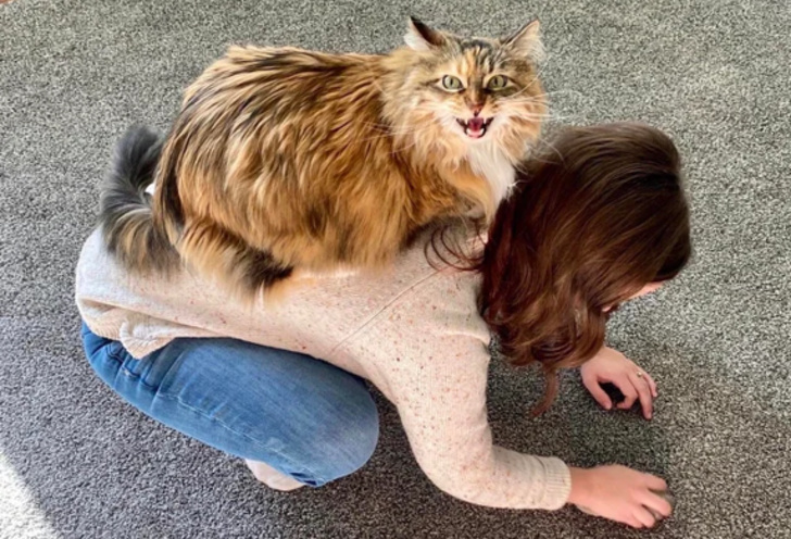 8. I det här huset är det jag som bestämmer