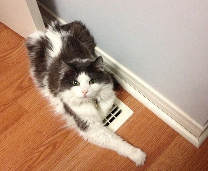 10. Min kille undrar varför hans rum var så kallt