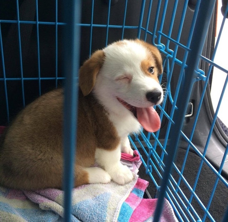 2. Flirt - din flickvän är min