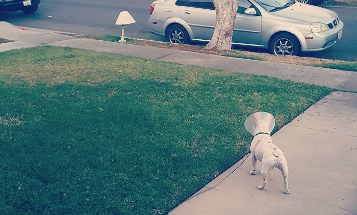 4. Kärlek vid första ögonkastet