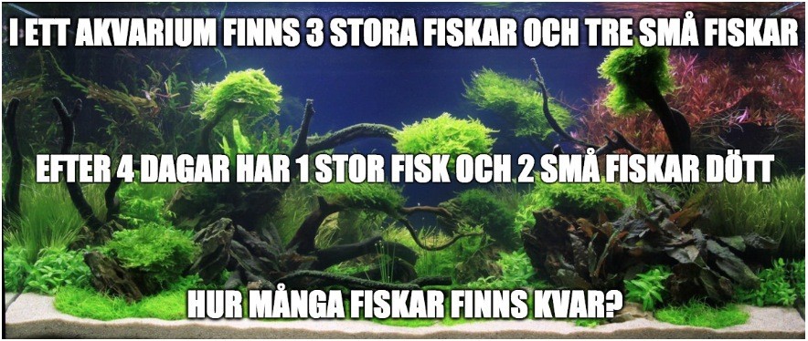 Här kommer gåtan: