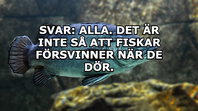 Här är rätta svaret: