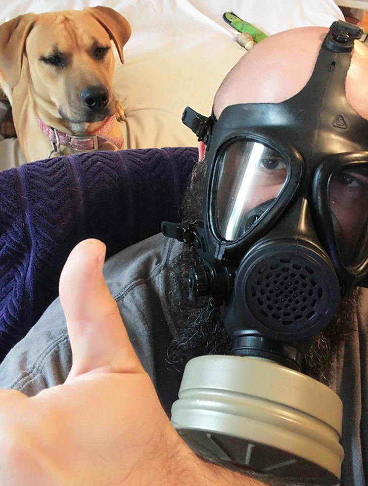 6. Efter 8 månader hittade jag äntligen ett sätt att ta itu med de elaka valpfisarna.