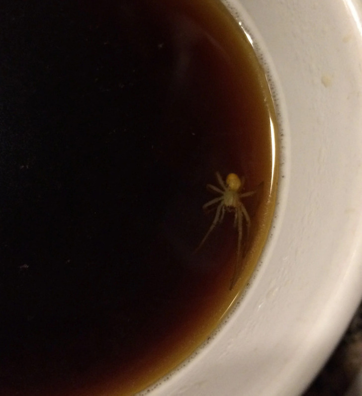 11. Fick syn på detta i mitt morgonkaffe.