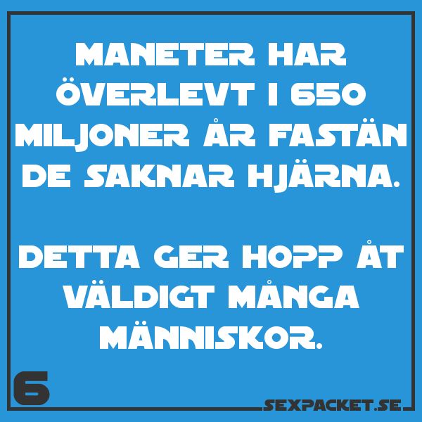 6. Maneter har överlevt i 650 miljoner år utan hjärna