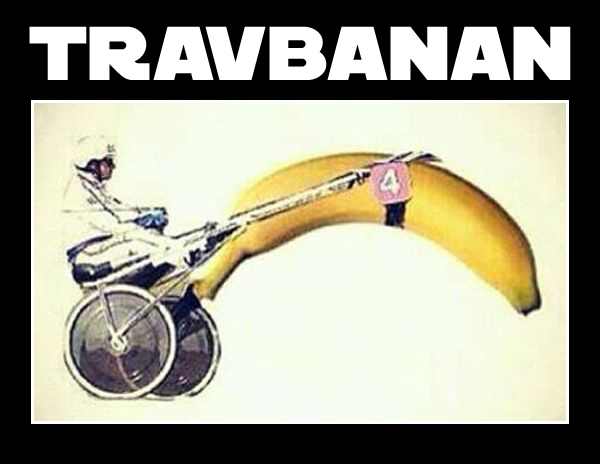 16. Travbanan