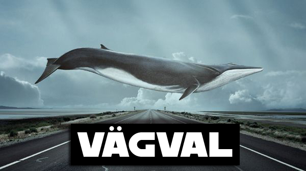 7. Vägval