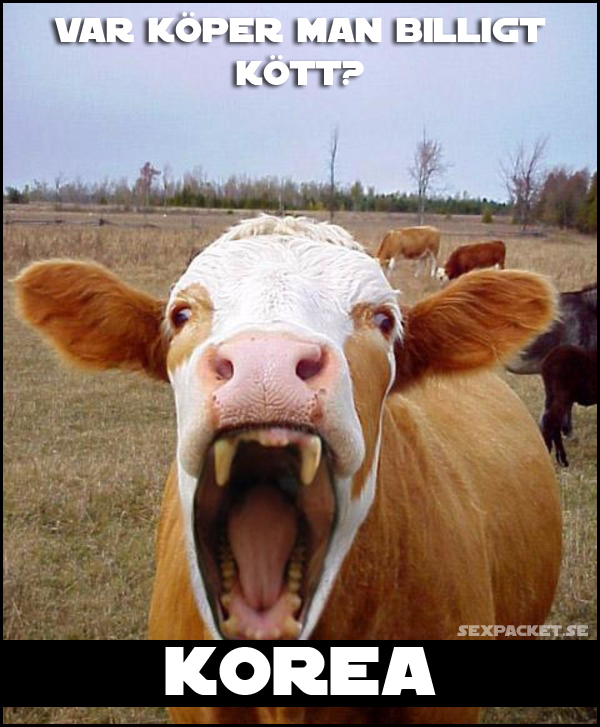 2. Var köper man billigt kött?