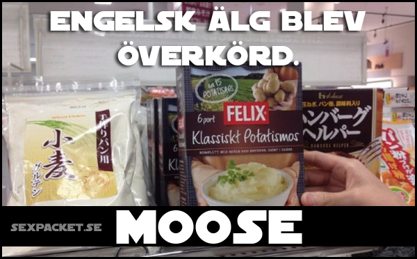 5. Engelsk älg blev överkörd...