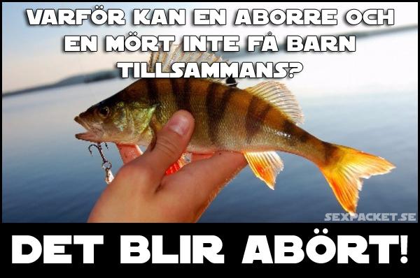 17. Varför kan en aborre och en mört inte få barn tillsammans?