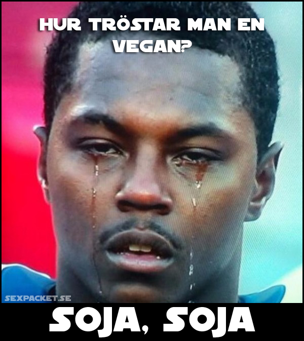 12. Hur tröstar man en vegan?