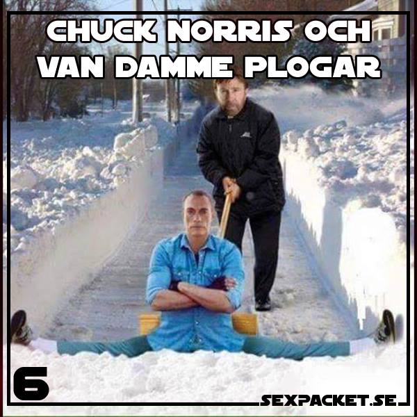 5. Chuck Norris och Van Damme plogar
