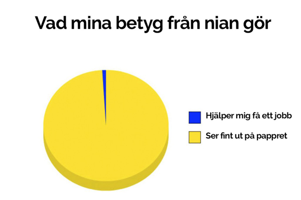 13. Vad mina betyg från nian gör