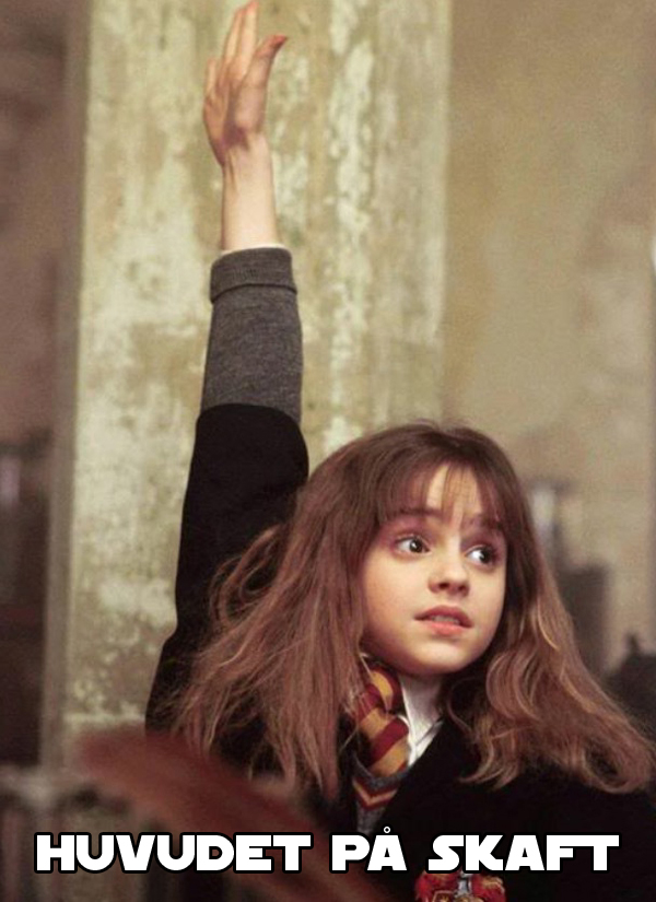 9. Huvudet på skaft