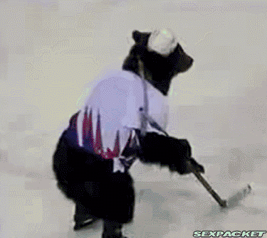 5. En björn som spelar hockey