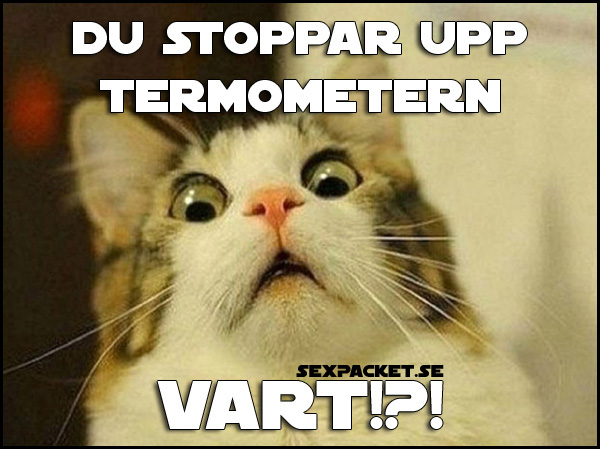 10. Du stoppar upp termometern vart?