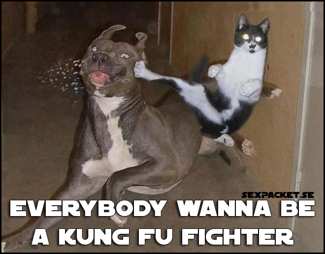 8. Everybody wanna be a kung fu fighter