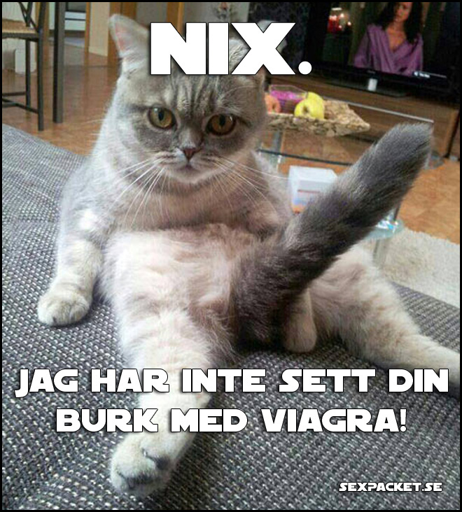 3. Nix. jag har inte sett din burk.