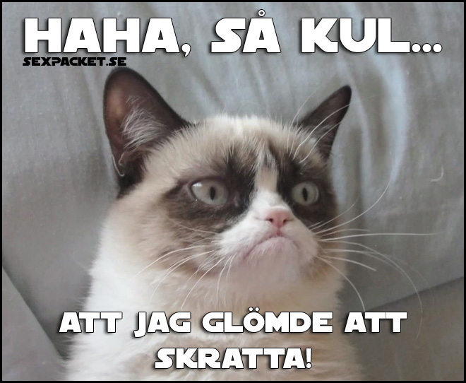 15. Haha, så kul att jag glömde att skratta