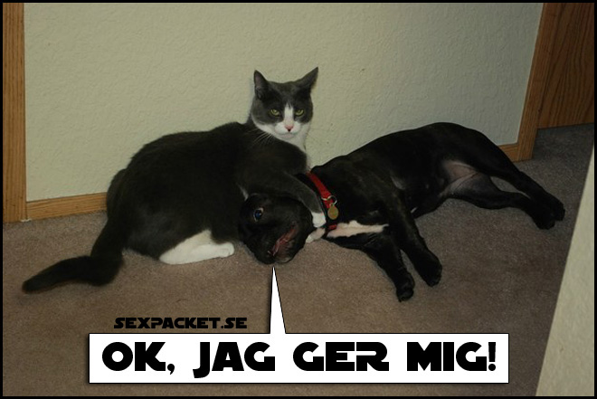 12. Ok, jag ger mig