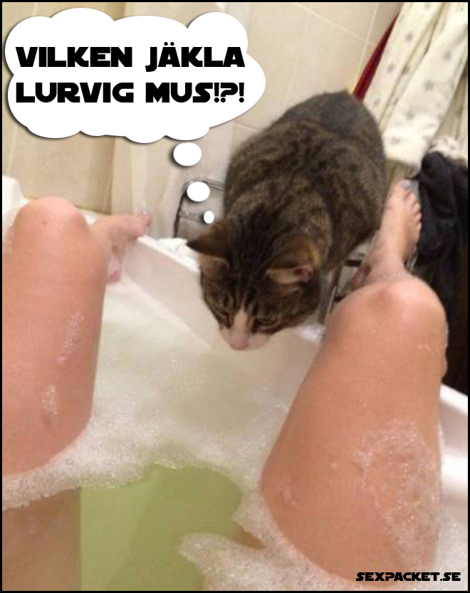 11. Vilken lurvig mus