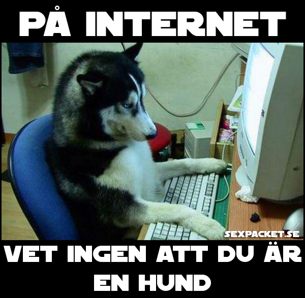 15. På internet vet ingen att du är en hund