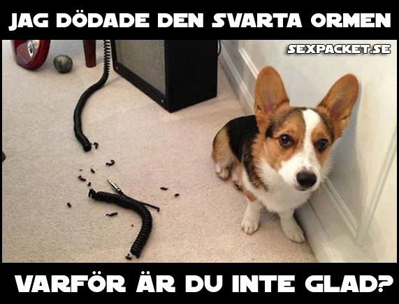 10. Varför är du inte glad?