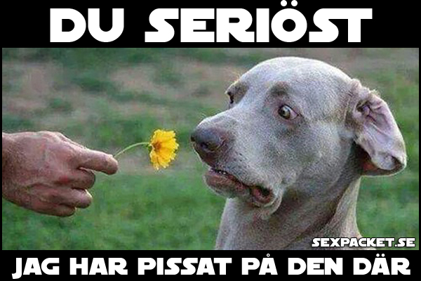 3. Du seriöst
