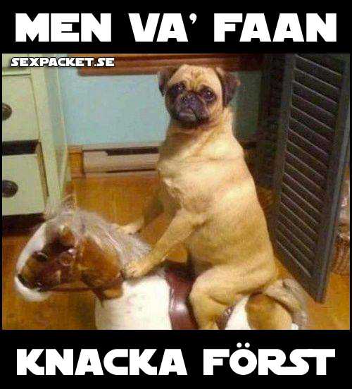 14. Knacka först