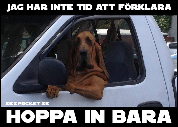 13. Jag har inte tid att förklara