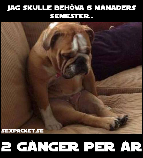 6. Jag skulle behöva 6 månaders semester
