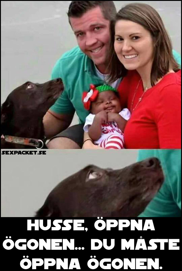 12. Husse, öppna ögonen