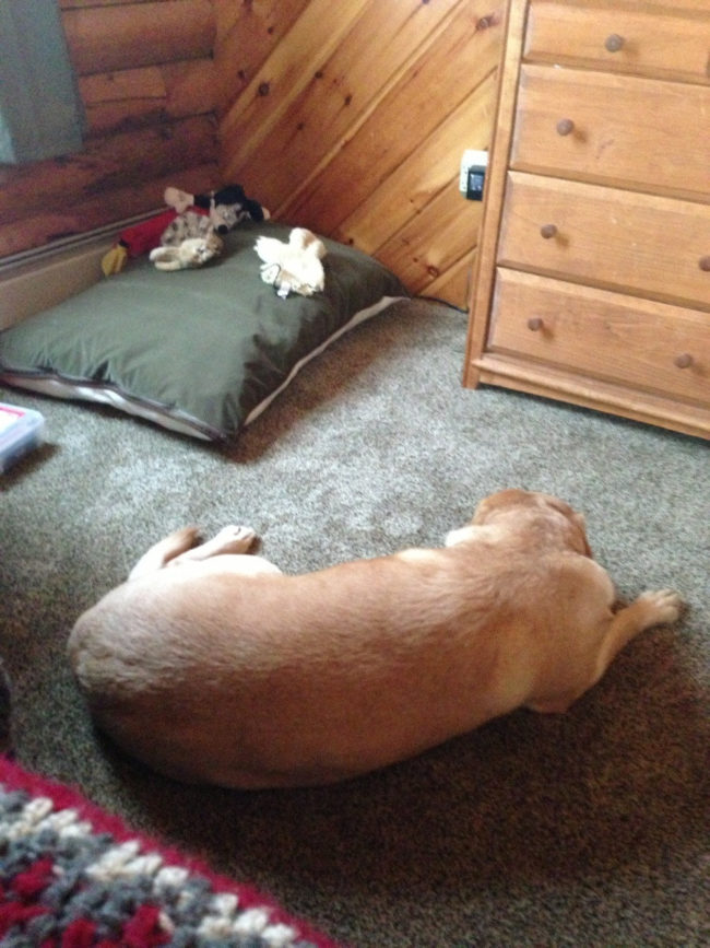 4. Jag vill bara att mina leksaker ska ha det bekvämt.