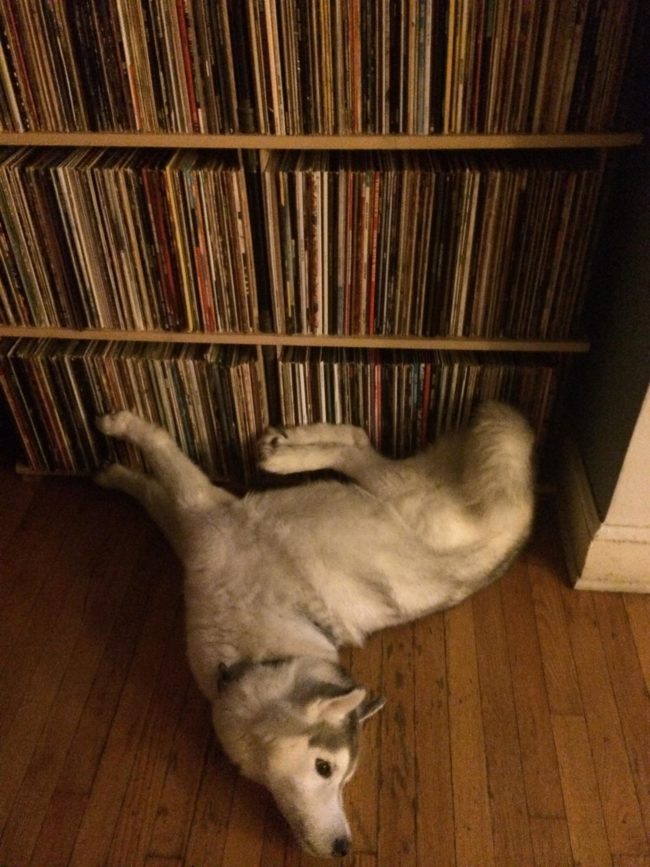 2. Tydligen är detta bekvämare än sängen han stirrar på.