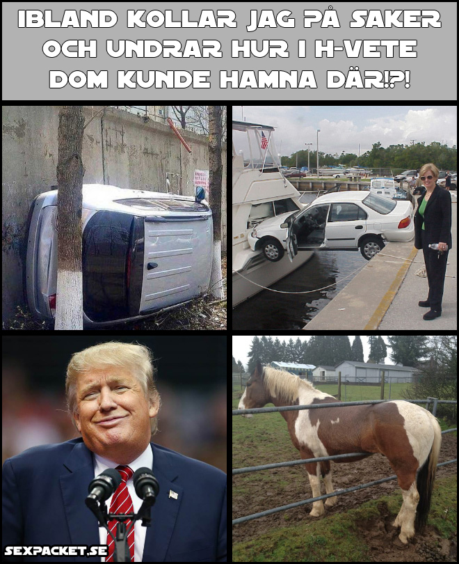 11. Hur kunde detta hända