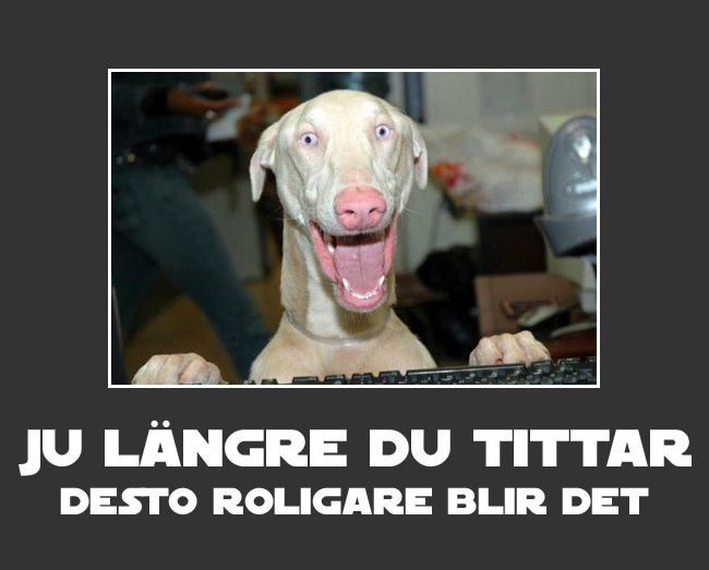 8. Ju längre du tittar, desto roligare blir det