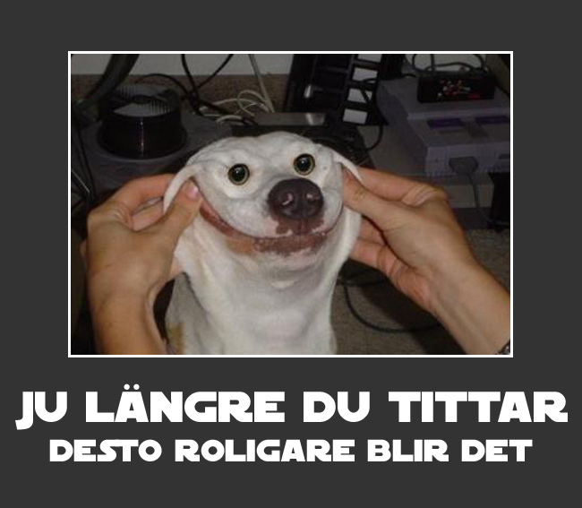 9. Ju längre du tittar, desto roligare blir det