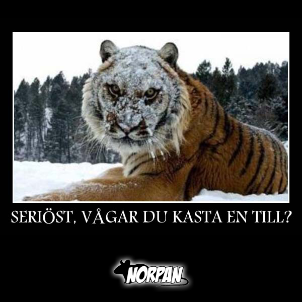 6. Seriöst, vågar du kasta en till